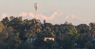 কুয়াশার রূপে সেজেছে পঞ্চগড়; হিমালয় কন্যার মোহনীয় রূপে পর্যটকের ভিড়